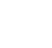 企业/专精特新